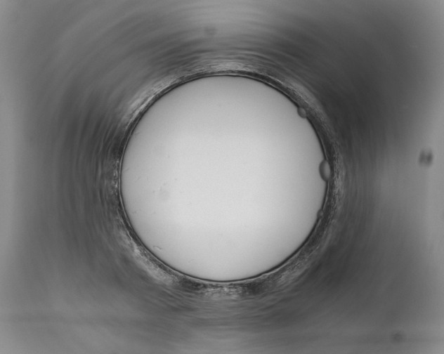 X0000111030793200907231619