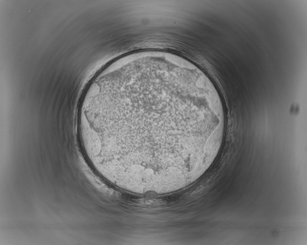 X0000111030795200907231619