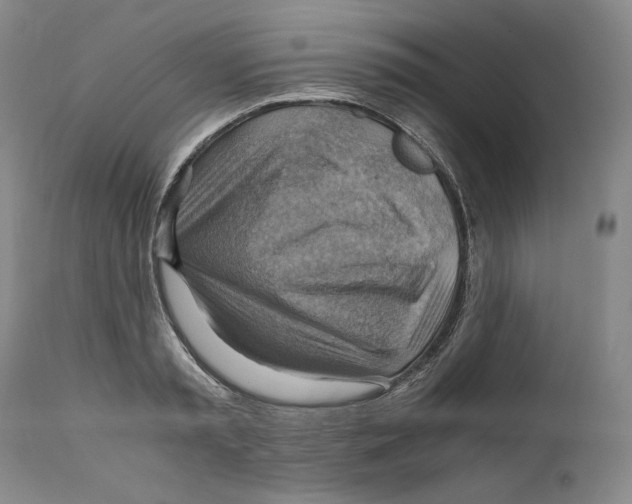 X0000111030797200907231619