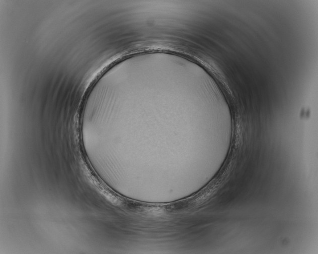 X0000111030798200907231619