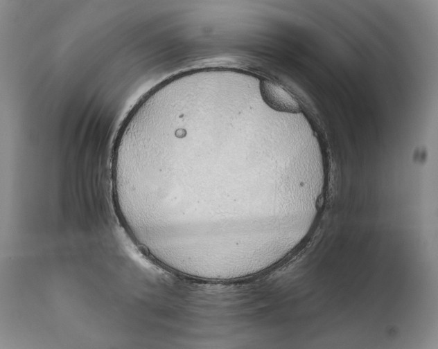 X0000111030800200907231619