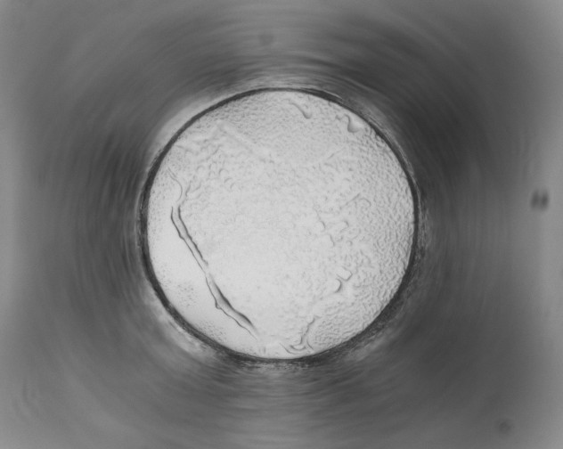 X0000111030803200907231619