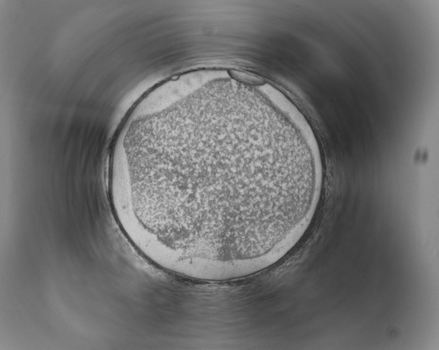 X0000111030804200907231619