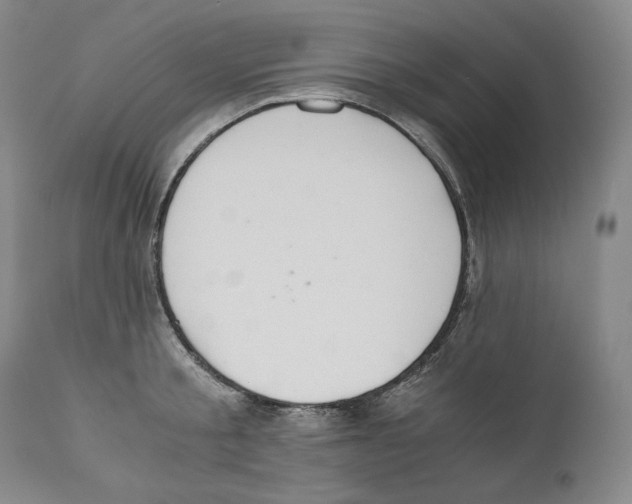 X0000111030805200907231619