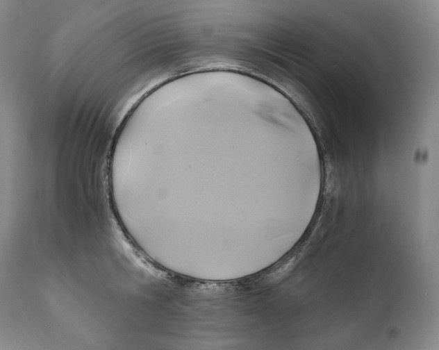 X0000111030806200907231619