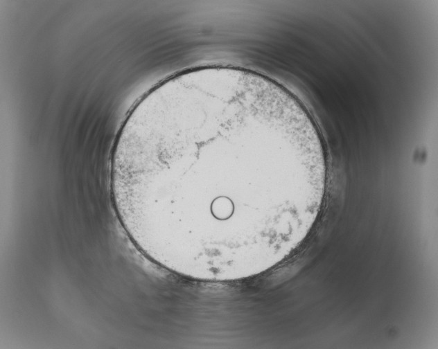 X0000111030807200907231619