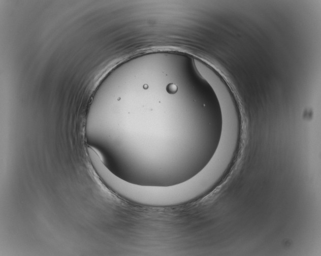 X0000111030809200907231619