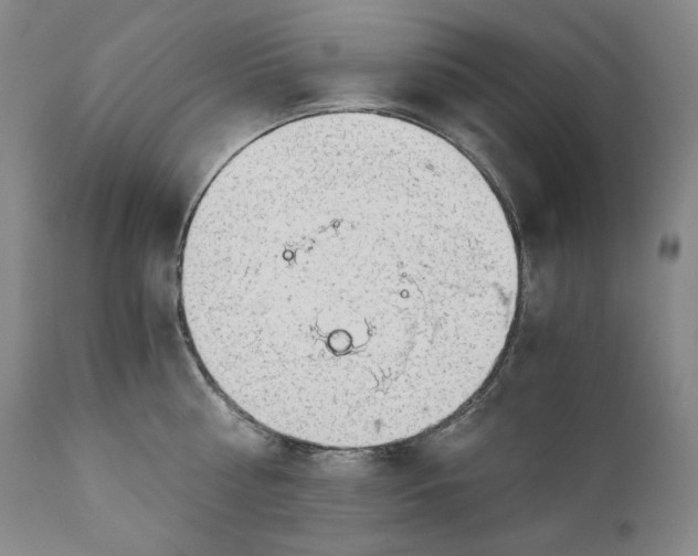 X0000111030810200907231619