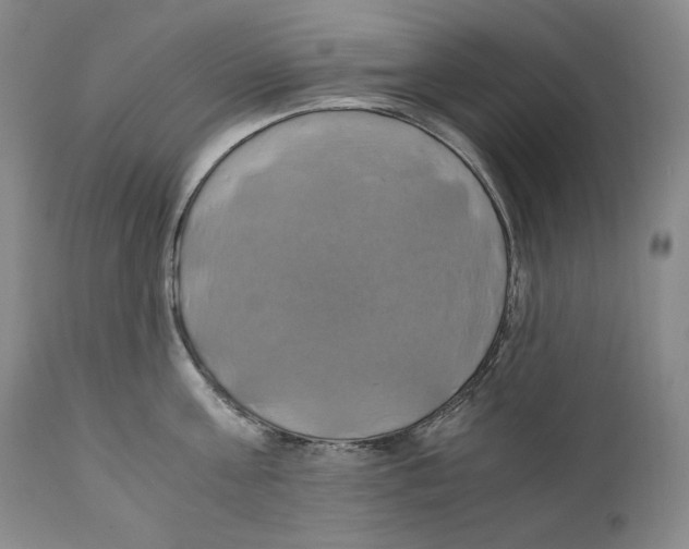 X0000111030811200907231619