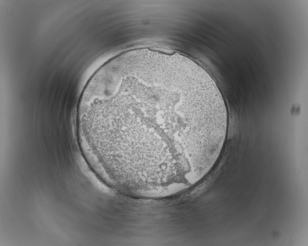 X0000111030812200907231619