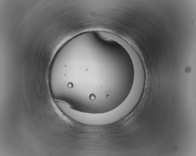 X0000111030813200907231619