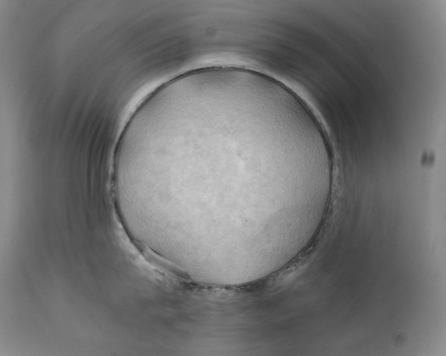 X0000111030815200907231619