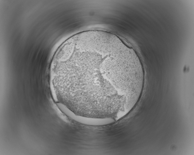 X0000111030816200907231619