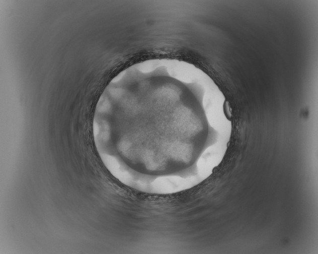 X0000111030817200907231618