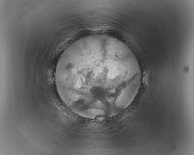 X0000111030819200907231618