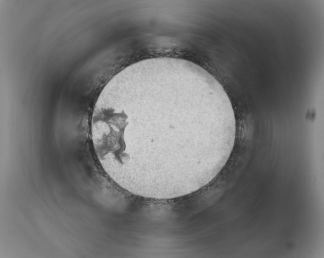 X0000111030820200907231618