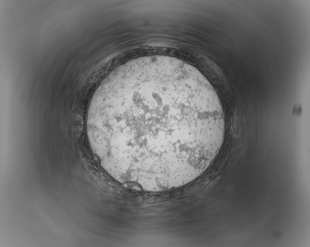 X0000111030821200907231618