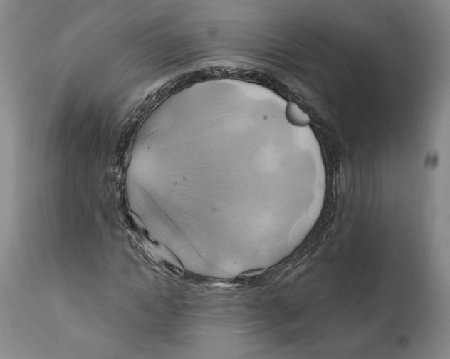 X0000111030822200907231618