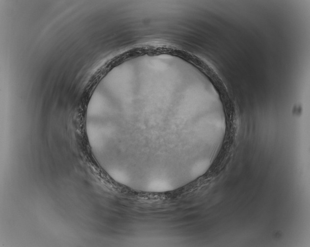 X0000111030823200907231618