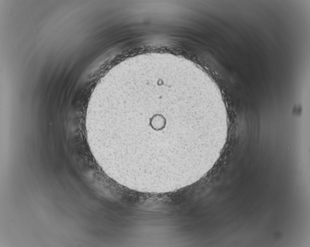 X0000111030824200907231618