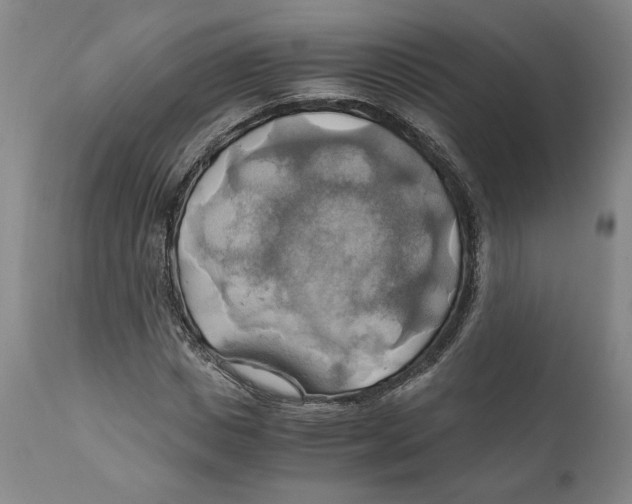 X0000111030825200907231618