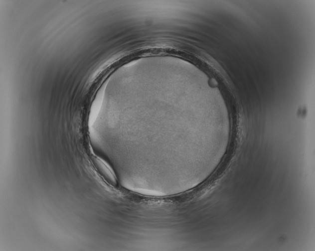 X0000111030826200907231618