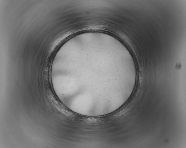 X0000111030827200907231618