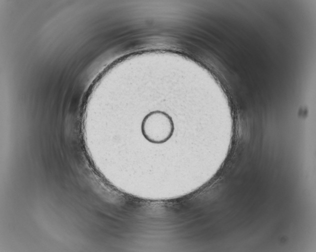 X0000111030828200907231618