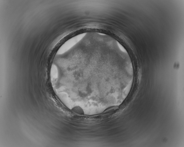 X0000111030829200907231618