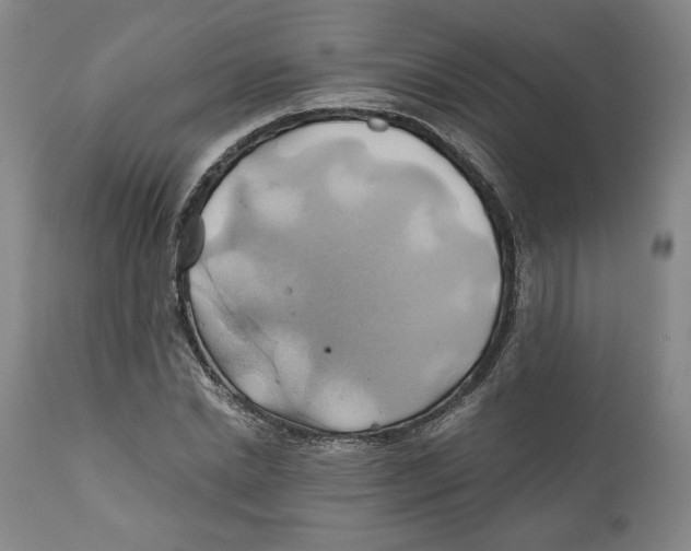 X0000111030830200907231618