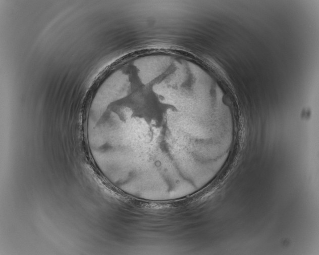 X0000111030831200907231619