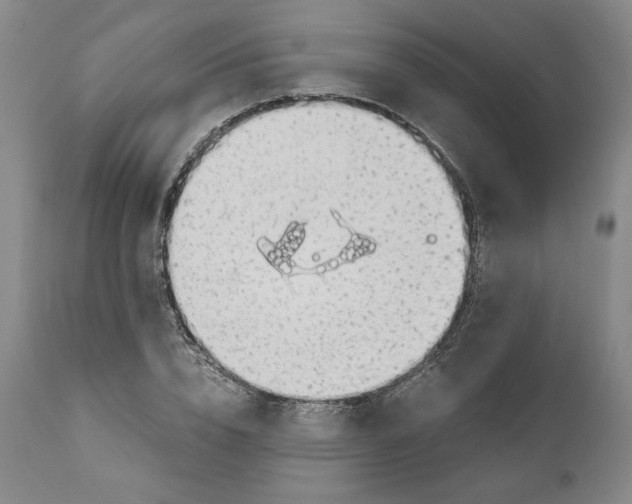 X0000111030832200907231619