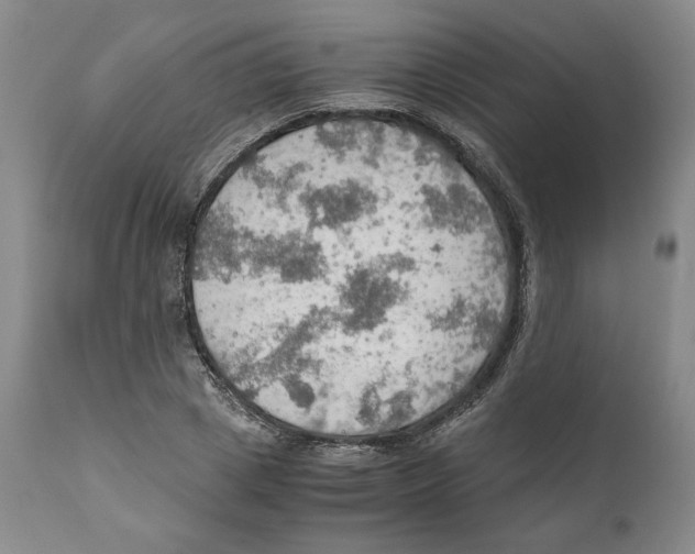 X0000111030833200907231619