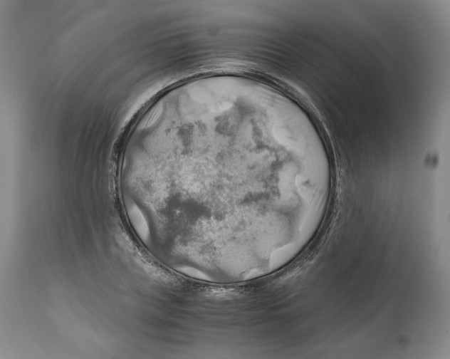 X0000111030835200907231619