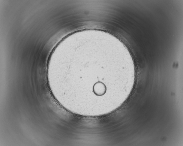 X0000111030836200907231619