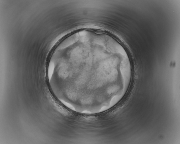 X0000111030837200907231619