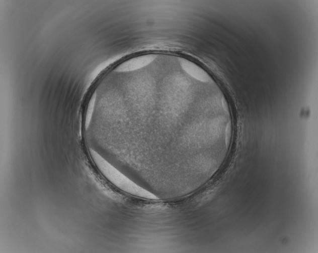 X0000111030838200907231619