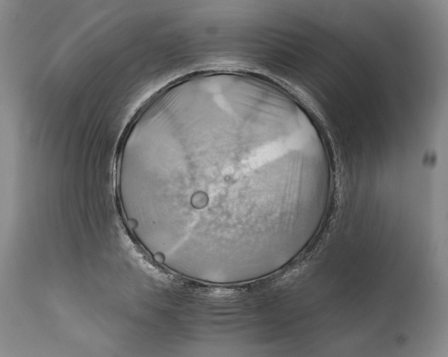 X0000111030839200907231619