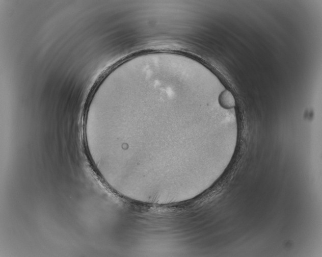 X0000111030840200907231619