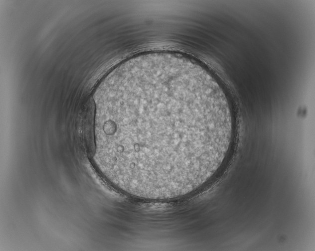 X0000111030841200907231619