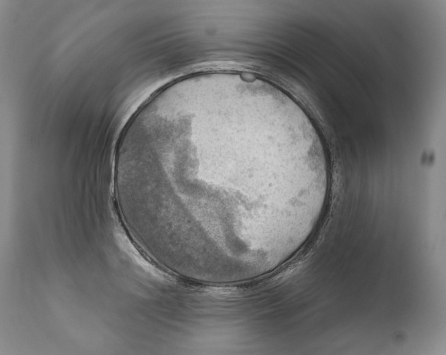 X0000111030844200907231619