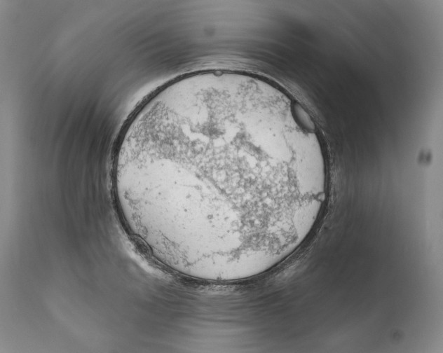 X0000111030846200907231619