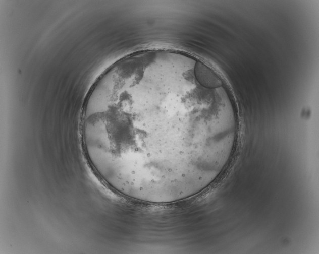 X0000111030847200907231619