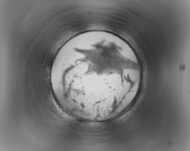 X0000111030849200907231619