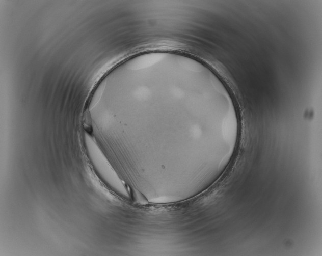 X0000111030850200907231619