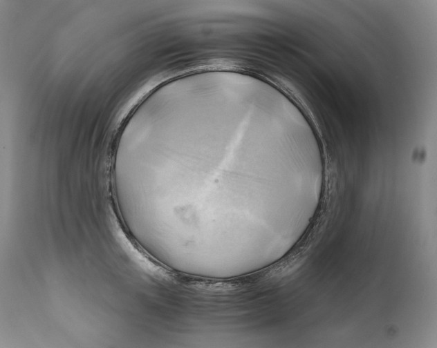 X0000111030851200907231619