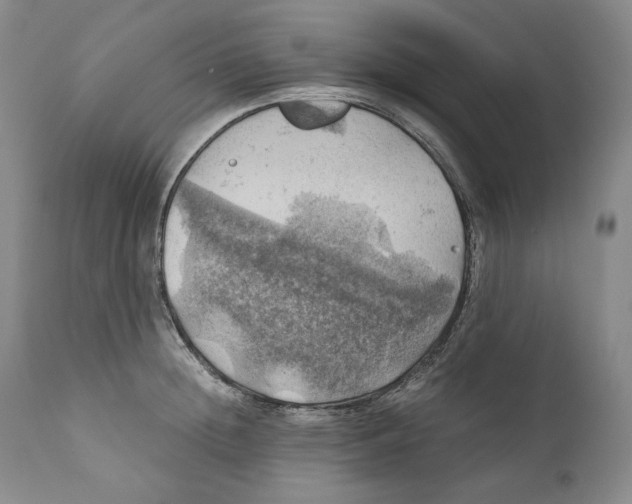 X0000111030852200907231619