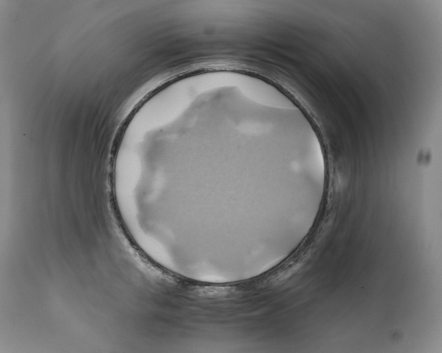 X0000111030853200907231619