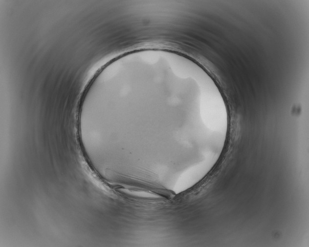 X0000111030854200907231619