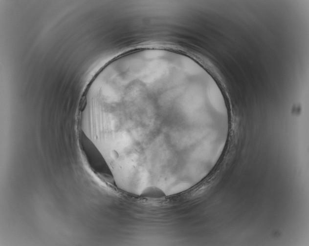 X0000111030855200907231619